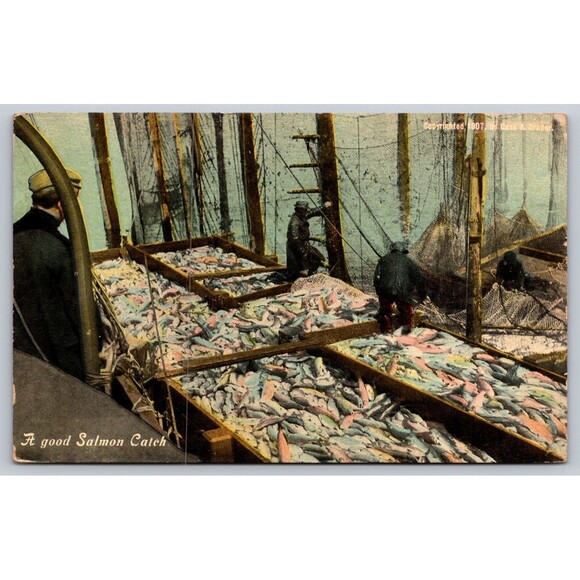 Postcard A Good Salmon Catch Fishing Boat Posted Copyright 1907 Case Draper USA - Picture 1 of 2